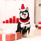 Collar Navideño Mascota